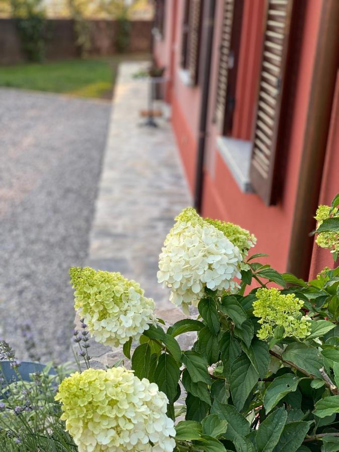 מנדלו דל לאריו Il Mallo Verde - Lake Como B&B מראה חיצוני תמונה