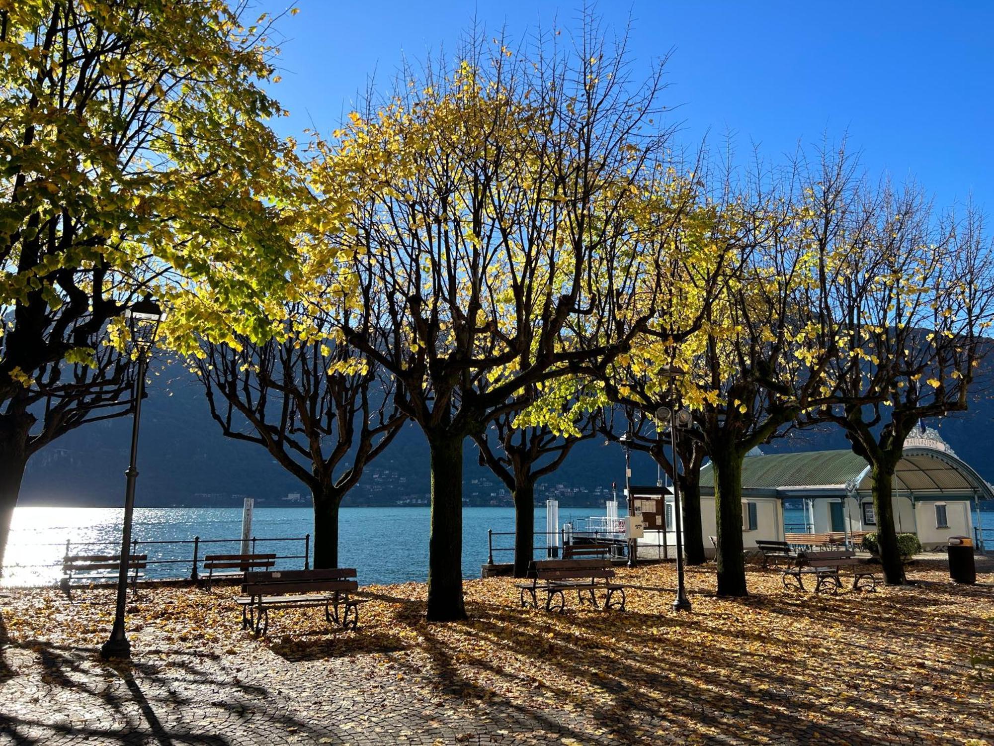 מנדלו דל לאריו Il Mallo Verde - Lake Como B&B מראה חיצוני תמונה